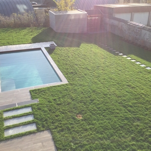 Jardin complet avec piscine