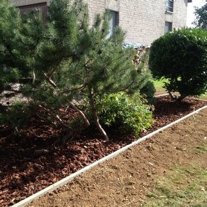 Parterre avec bordure en béton