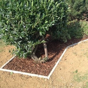 Parterre avec bordure en béton