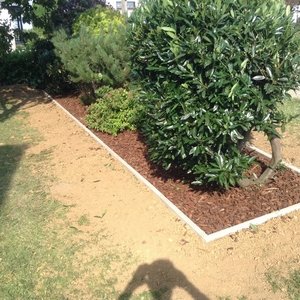 Parterre avec bordure en béton