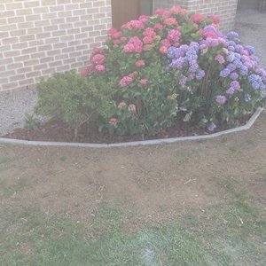 Parterre avec bordure en béton